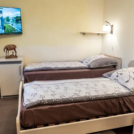 Gosciniec Stara Szkola Guest house Haluszowa